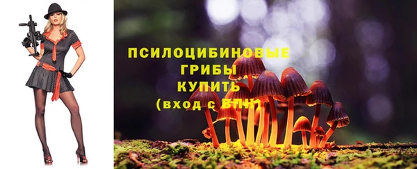 мет Елизово