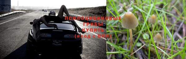 альфа пвп Дмитриев