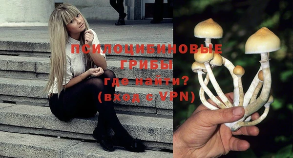 мет Елизово