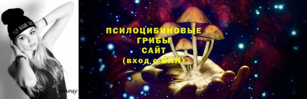 гидропоника Елабуга