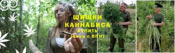 альфа пвп Дмитриев