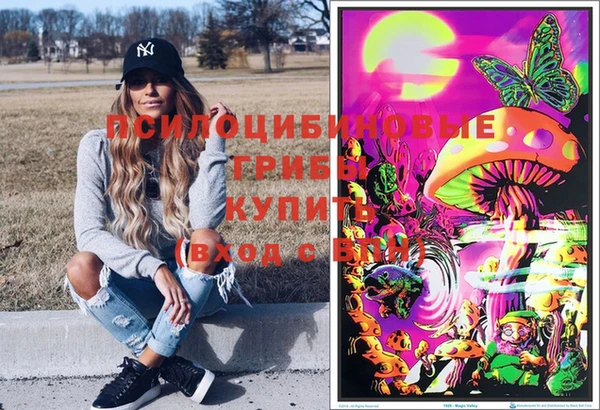 хмурый Дмитровск