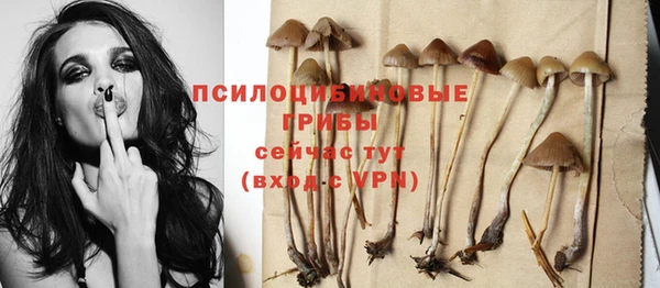 альфа пвп Дмитриев